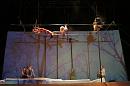 vertige du papillon 048 * 3504 x 2336 * (3.73MB)